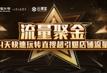 淘宝大学：流量聚金14天快速玩转直搜，超引爆店铺流量，价值8800元-蜗牛学社