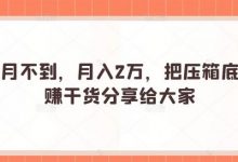 一个月不到,月入2万,把压箱底的躺赚干货分享给大家-冒泡网