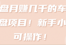 复盘月赚几千的车载U盘项目!新手小白可操作!【视频教程】-冒泡网