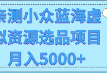 亲测小众蓝海虚拟资源选品项目月入5000+【视频教程】-冒泡网