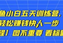 卓让闲鱼小白五天训练营,每天一小时,轻松赚钱快人一步【视频课程】-冒泡网