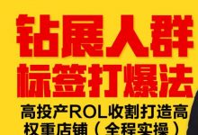 钻展人群标签打爆法,高投产ROL收割打造高权重店铺(全程实操)-冒泡网
