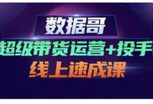 数据哥·超级带货运营+投手线上速成课,快速提升运营和熟悉学会投手技巧-冒泡网