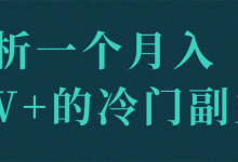 解析一个月入2W+的冷门副业!【视频教程】-冒泡网