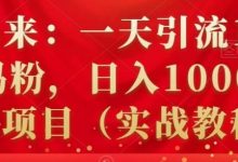 祖小来:一天引流100+宝妈粉,日入1000+的蓝海项目(实战教程)-冒泡网