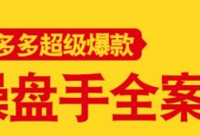 拼多多超级爆款操盘手全案课,教你新店0-1快速突破-冒泡网