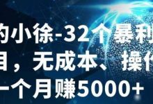 进击的小徐-32个暴利小项目,无成本、操作简单一个月赚5000+-冒泡网
