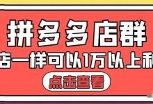 大凯电商·拼多多店群单店一样可以产出1万5以上利润-冒泡网