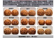 提高收入的办法，眼界决定了你挣钱的上限-蜗牛学社
