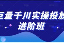 巨量千川实操投放进阶班,投放策略、方案,复盘模型和数据异常全套解决方法-冒泡网