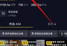 抖音蓝海项目是什么（抖音蓝海项目怎么做）-蜗牛学社