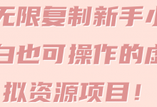无限复制新手小白也可操作的虚拟资源项目!【视频教程】-冒泡网