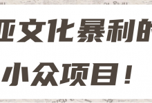 亚文化暴利的小众项目!【视频教程】-冒泡网
