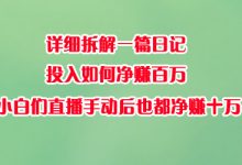 详细拆解一篇日记0投入如何净赚百万,小白们直播手动后也都净赚10万-冒泡网