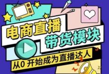大鹏·电商直播带货课,系统学习直播带货各环节技巧和套路-蜗牛学社