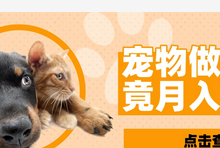 月入3万的宠物自媒体怎么做，宠物自媒体运营方法-蜗牛学社