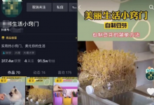 创业赚钱玩转抖音生活号，日收入稳定500加-蜗牛学社