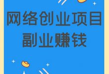 每天投入3小时，轻松年入20万的创业赚钱项目-蜗牛学社