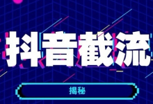 同行截流恶心玩法，一天搞个小几百！-蜗牛学社