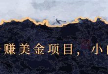 点击广告赚美金项目，小白可操作【视频课程】-蜗牛学社