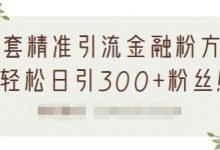 1套精准引流金融粉方法,轻松日引300+粉丝【视频课程】-冒泡网