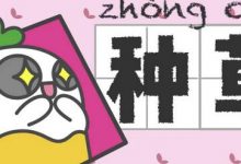 小红书种草是什么意思（小红书种草推广）-蜗牛学社