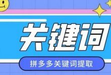 拼多多关键词排名在哪里看（拼多多关键词在哪里找?怎么优化）-蜗牛学社