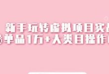 新手玩转虚拟项目实战,揭秘单品1万+大类目操作模式【视频课程】-冒泡网