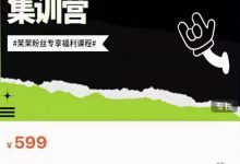 夜草与千里马素人短视频带货集训营，薛辉团队价值599-蜗牛学社
