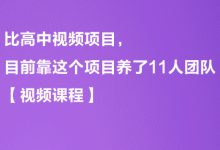 比高中视频项目，目前靠这个项目养了11人团队【视频课程】-蜗牛学社