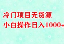 冷门项目有哪些（无货源项目有哪些）-蜗牛学社