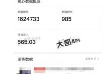 大凯进阶圈新玩法之拼多多视频玩法，利润大概一个号一天能有500~1500的左右!-蜗牛学社