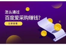 大王·怎么通过百度爱采购赚钱，已经通过百度爱采购完成200多万的销量-冒泡网
