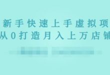 2022年虚拟项目实战指南,新手从0打造月入上万店铺【视频课程】-冒泡网