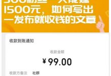 300粉丝一天能赚1500元,如何写出一发布就收钱的文章【付费文章】-冒泡网