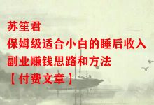 苏笙君·保姆级适合小白的睡后收入副业赚钱思路和方法【付费文章】-冒泡网