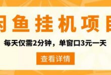 闲鱼挂机单号3元/天，每天仅需2分钟，可无限放大，稳定长久挂机项目！-蜗牛学社