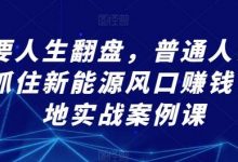 想要人生翻盘，普通人该如何抓住新能源风口赚钱，落地实战案例课-蜗牛学社