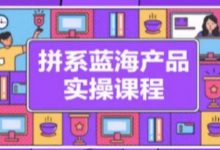 拼系冷门蓝海产品实操课程，从注册店铺到选品上架到流量维护环环相扣-蜗牛学社