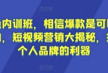 流量内训班，相信爆款是可以重复的，短视频营销大揭秘，打造个人品牌的利器-蜗牛学社