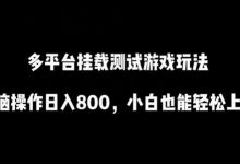 多平台挂载测试游戏玩法，无脑操作日入800，小白也能轻松上手-蜗牛学社