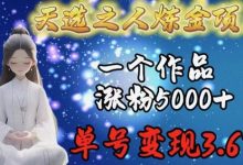 天选之人炼金项目，一个作品涨粉5000+，单号变现3.6w-蜗牛学社