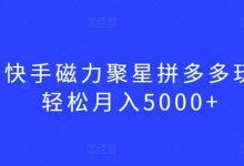 最新快手磁力聚星拼多多玩法，轻松月入5000+-蜗牛学社