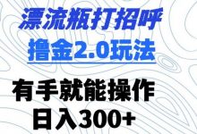 漂流瓶打招呼撸金2.0玩法，有手就能做，日入300+-蜗牛学社