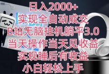 日入2000+，实现全自动成交，B站无脑挂机躺平3.0，当天操作当天见收益，实现睡后有收益-蜗牛学社
