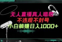 抖音24小时无人直播音乐,不违规,不封号纯撸音浪,小白实操当天日入1000+-蜗牛学社