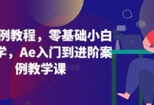Ae案例教程,零基础小白也能学,Ae入门到进阶案例教学课-蜗牛学社