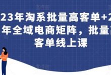 23年淘系批量高客单+24年全域电商矩阵,批量高客单线上课-蜗牛学社