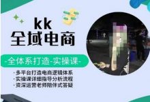 KK全域电商，全体系打造实操课，多平台打造电商逻辑体系-蜗牛学社