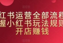 小红书运营全部流程，掌握小红书玩法规则，开店赚钱-蜗牛学社